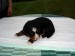 DSC02195.JPG