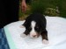 DSC02177.JPG