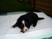 DSC02186.JPG