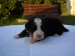 DSC02220.JPG