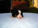 DSC02232.JPG