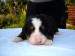 DSC02234.JPG