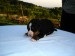 DSC02237.JPG