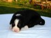 DSC02246.JPG