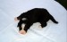 DSC02247.JPG